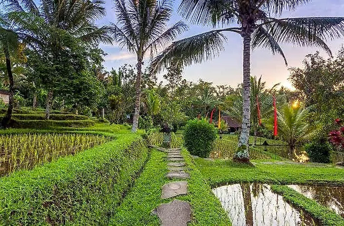 Prana Dewi Mountain 4*