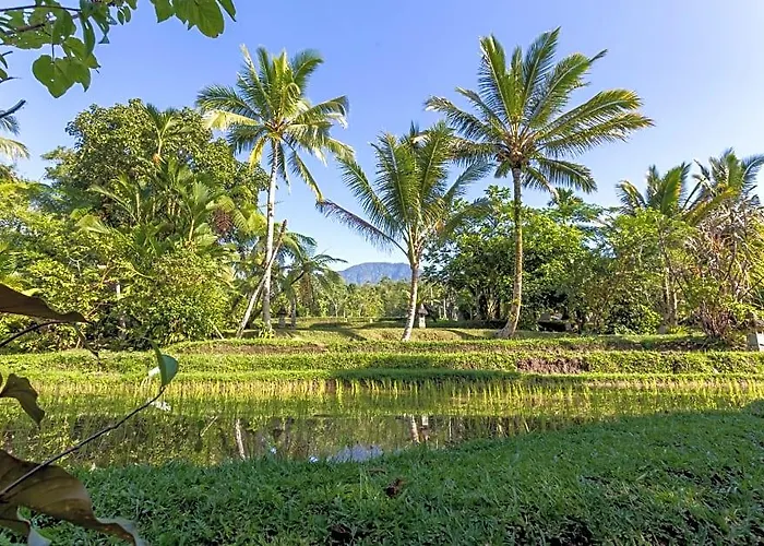 Prana Dewi Mountain Wongaya Gede