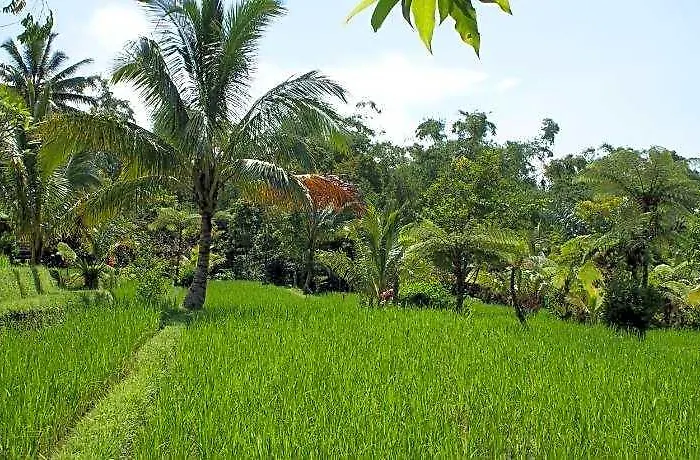Prana Dewi Mountain