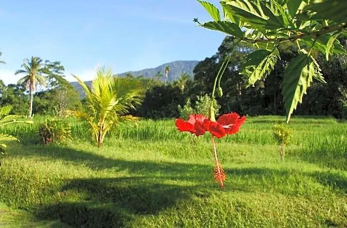 Prana Dewi Mountain Wongaya Gede