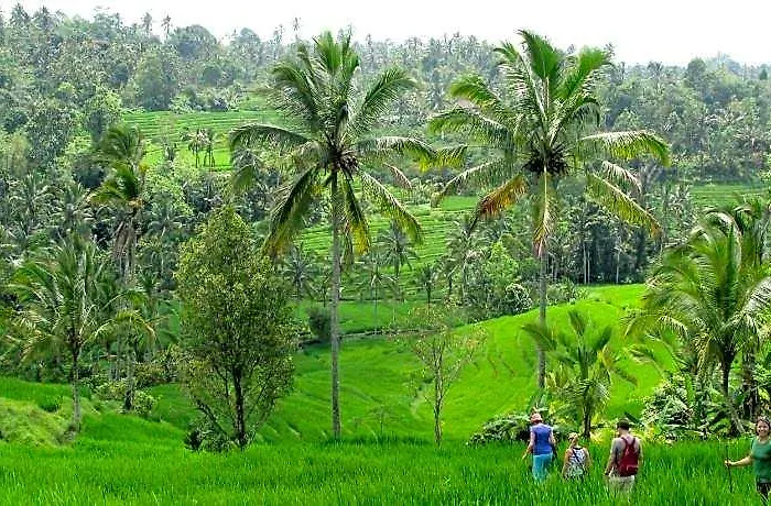 Prana Dewi Mountain リゾート