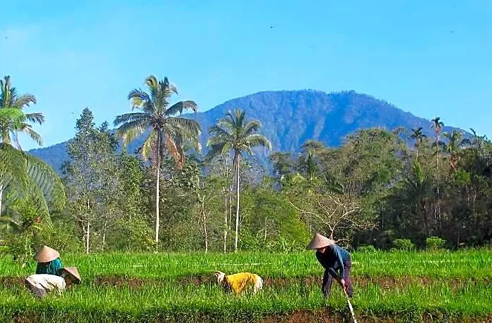 Prana Dewi Mountain