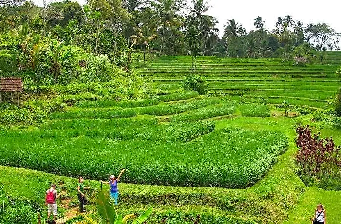 Resort Prana Dewi Mountain